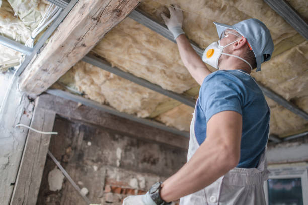 Best Residential Insulation in Athens, TN